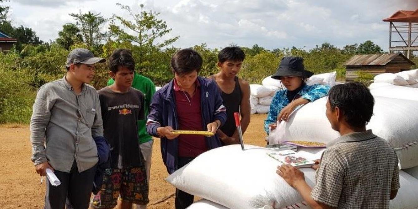 DPA with farmers and export company, check paddy rice DPA with farmers and export company, check paddy rice